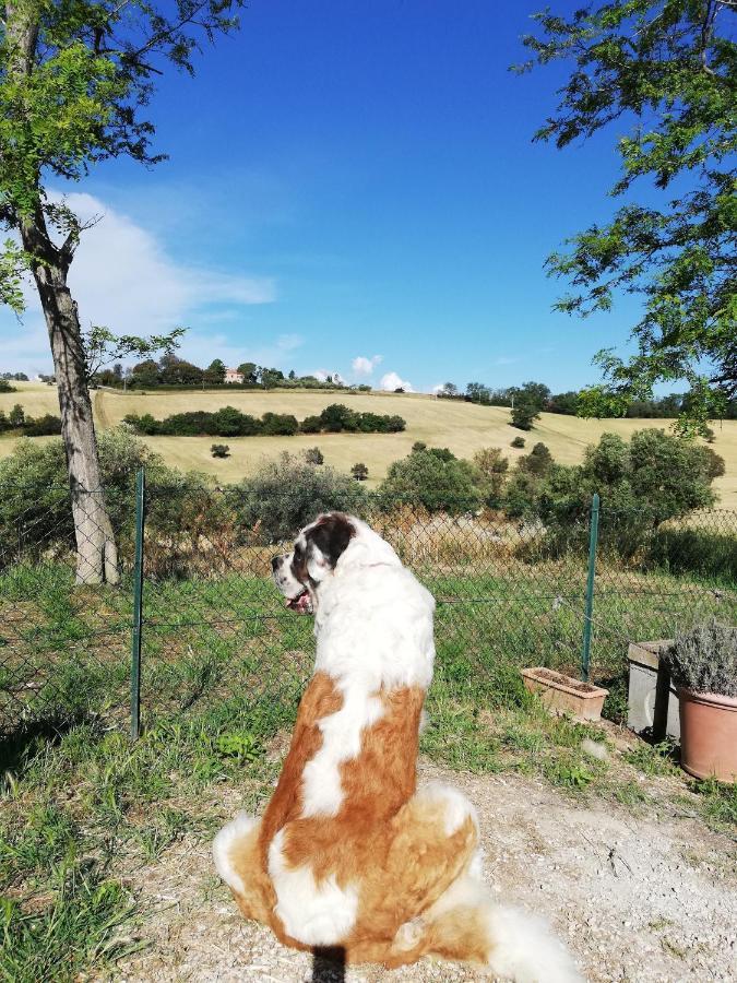 Casale Le Maschere Villa Numana Esterno foto