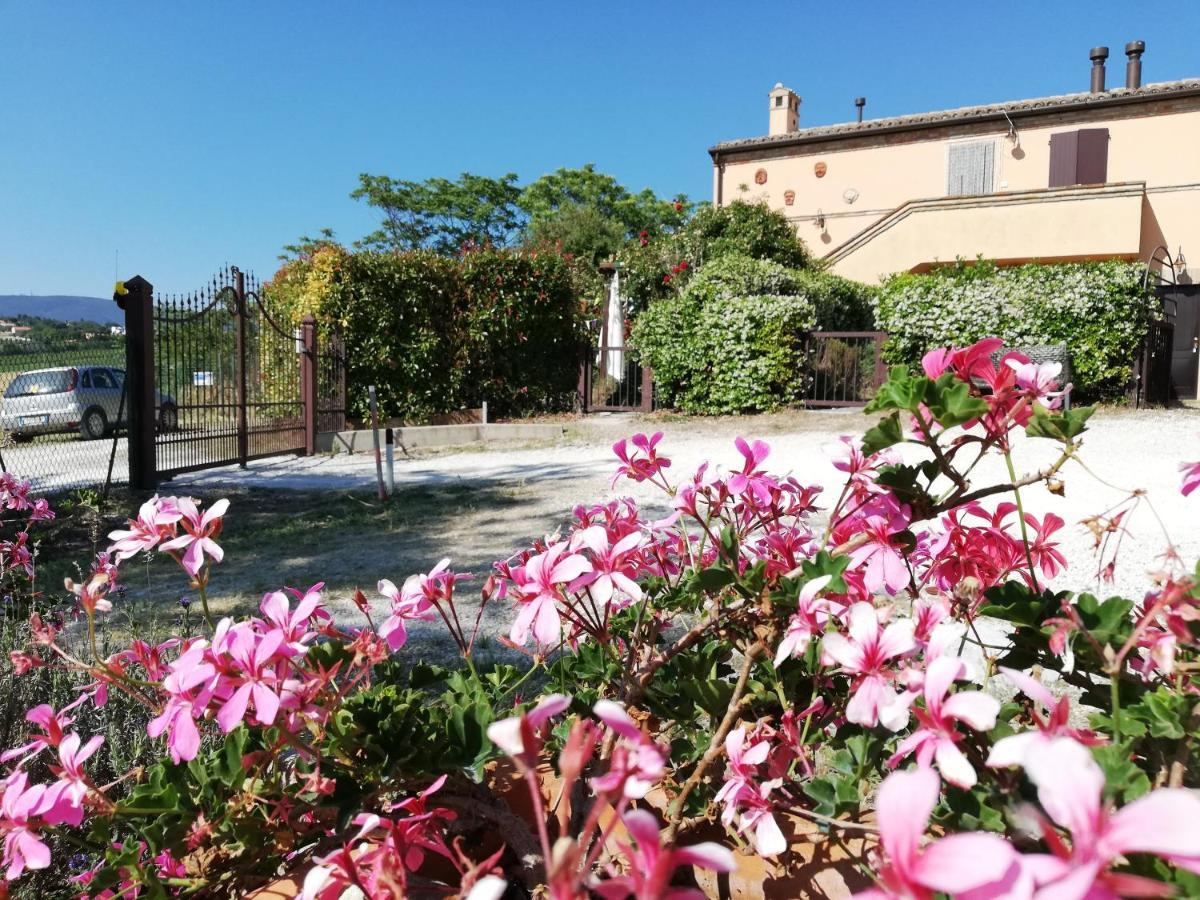 Casale Le Maschere Villa Numana Esterno foto