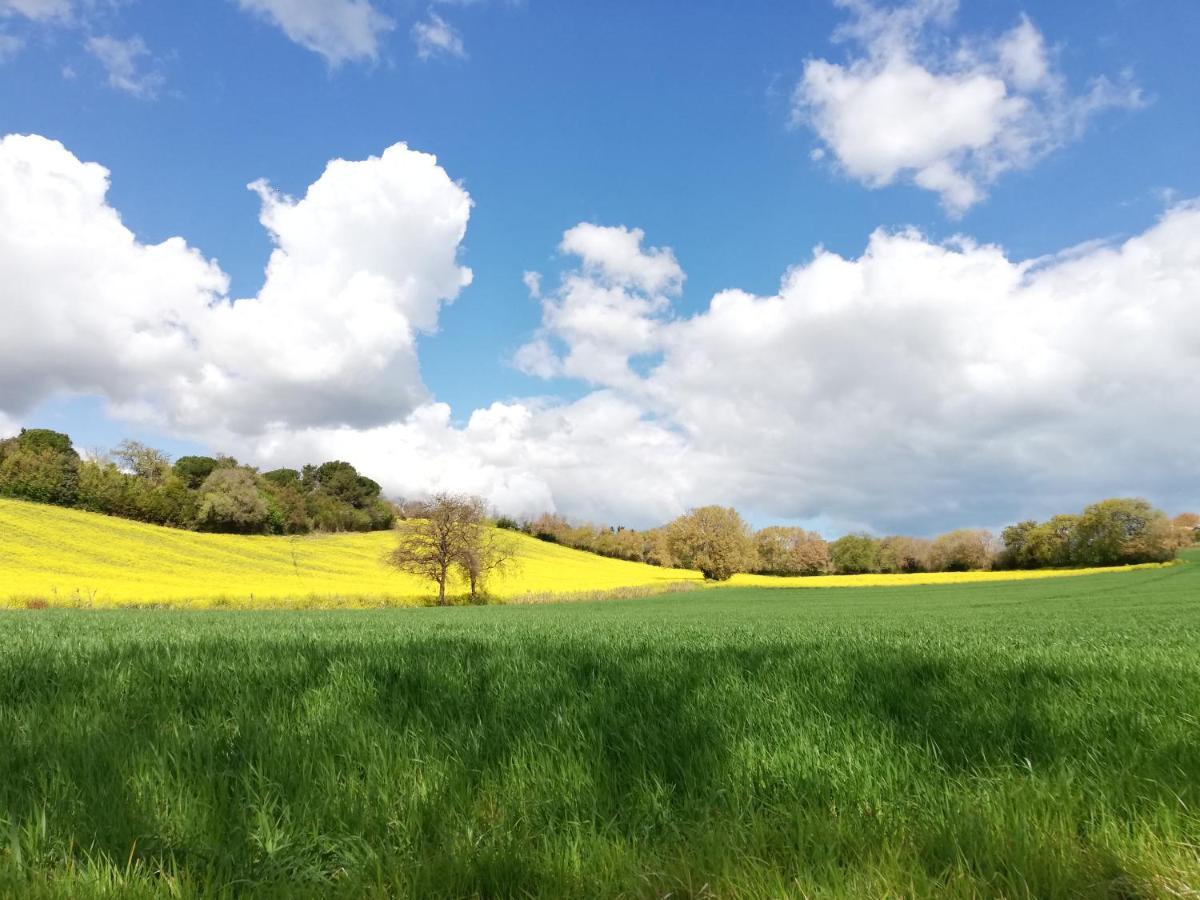 Casale Le Maschere Villa Numana Esterno foto