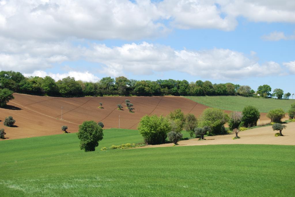 Casale Le Maschere Villa Numana Esterno foto